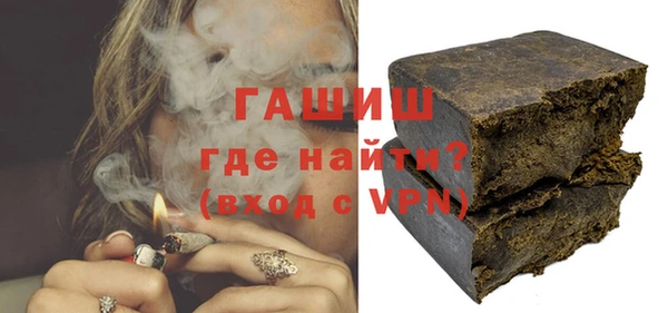 амф Снежногорск