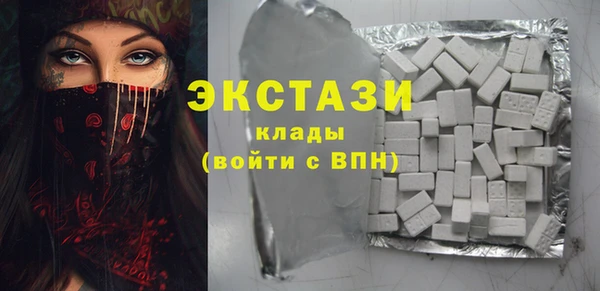 амф Снежногорск