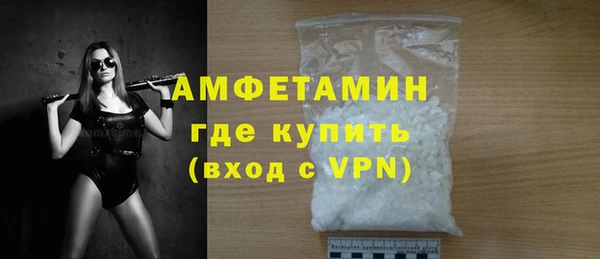 амф Снежногорск
