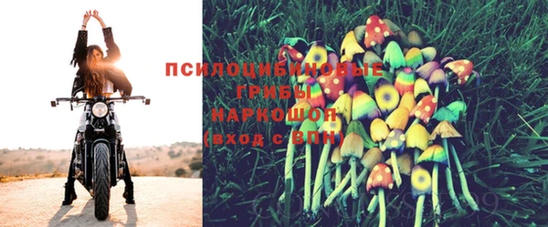 СК Богородск