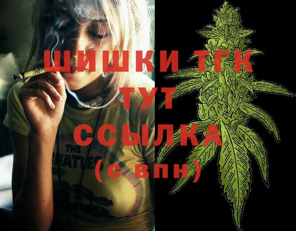 амф Снежногорск
