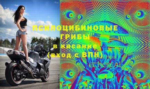 СК Богородск